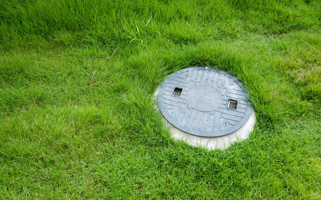 How to Keep Your Septic System Healthy: Alternatives to Expensive Septic Treatments