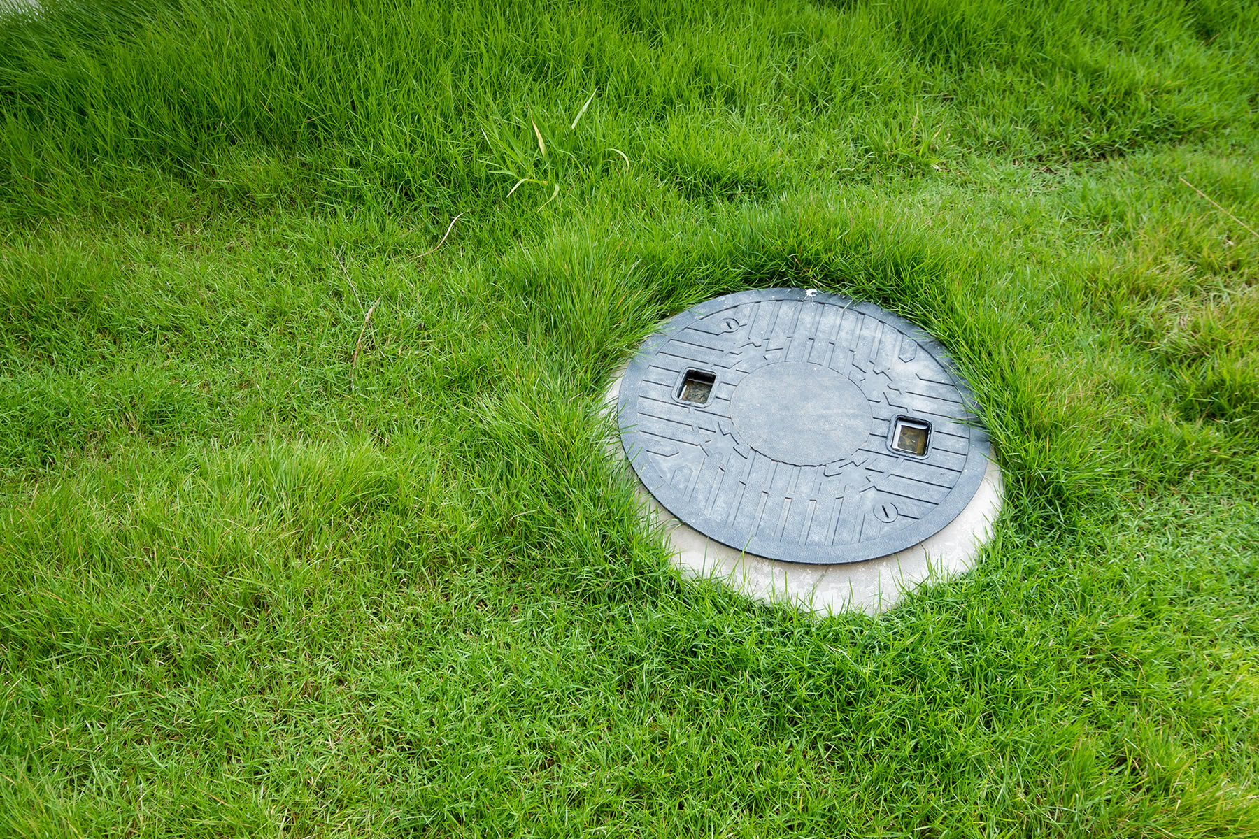 Alternatives to Expensive Septic Treatments Septic Systems